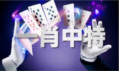 46码阐发体验服下载V