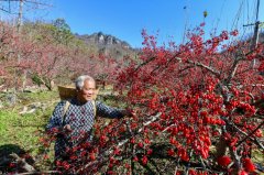 <b>河南西医药实“中”！</b>